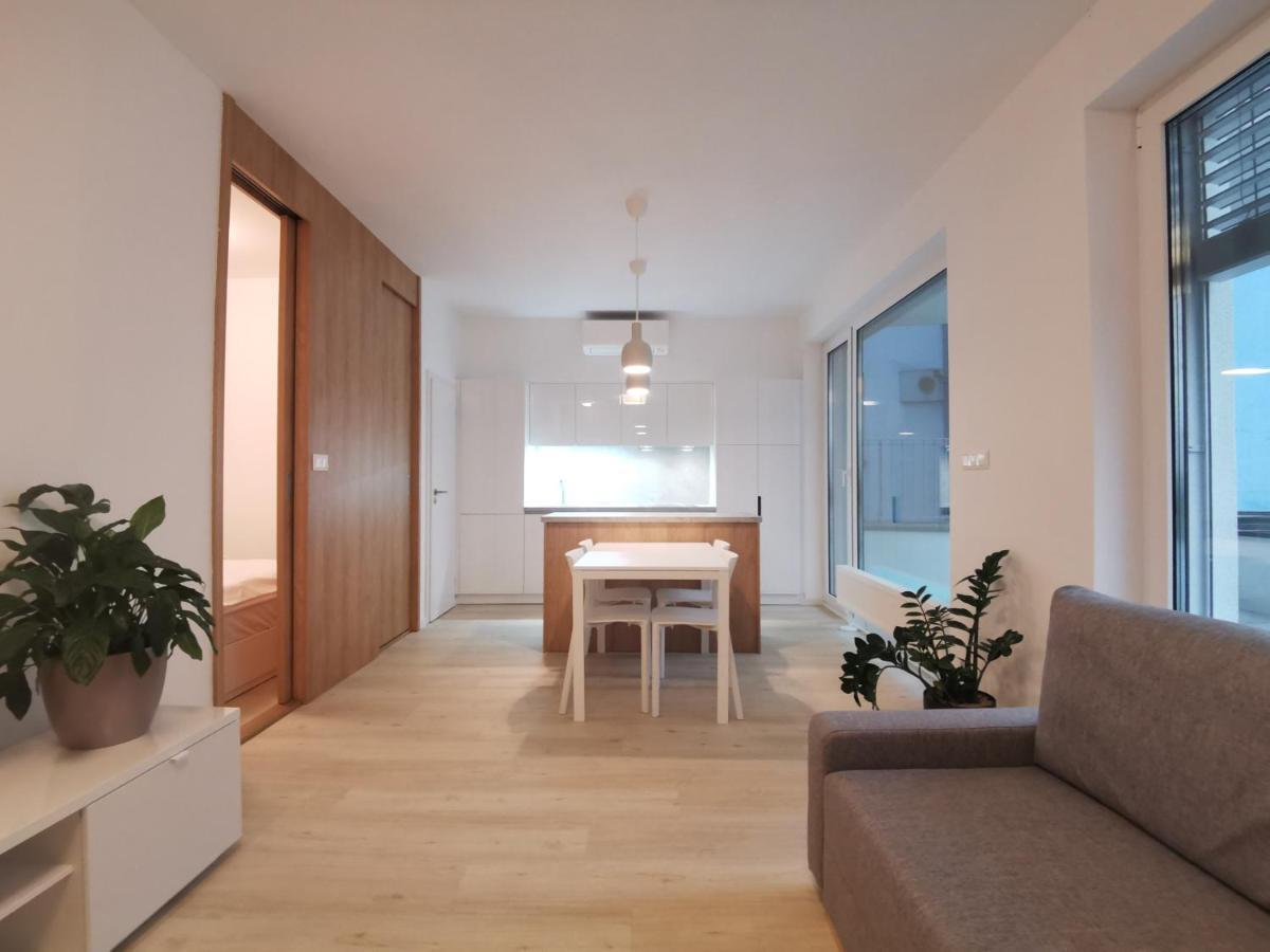 City Castle Apartments Free Parking 布拉迪斯拉发 外观 照片